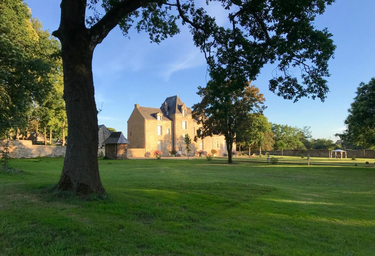 Chateau De Cadouzan Saint-Dolay Exterior foto