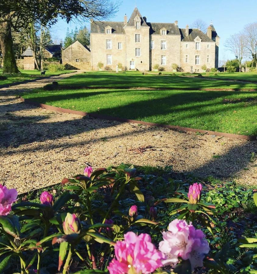 Chateau De Cadouzan Saint-Dolay Exterior foto